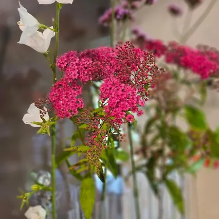 D'hotes Le Ponsonnet Panzió *