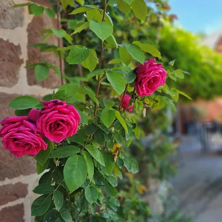 D'hotes Le Ponsonnet *