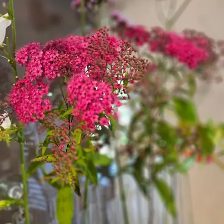 D'hotes Le Ponsonnet Conques-en-Rouergue